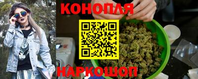 мдпв Кингисепп