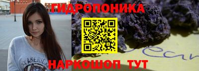 стаф Кимры
