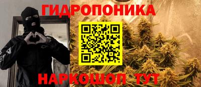 мдпв Кингисепп