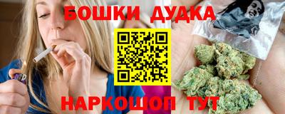 мдпв Кингисепп