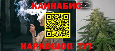 мдпв Кингисепп