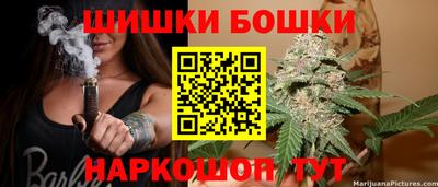 мдпв Кингисепп
