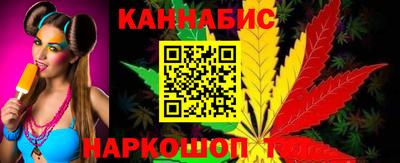 мдпв Кингисепп