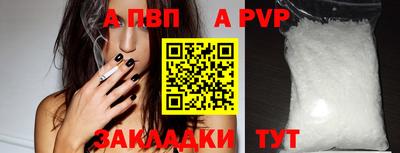 мдпв Кингисепп